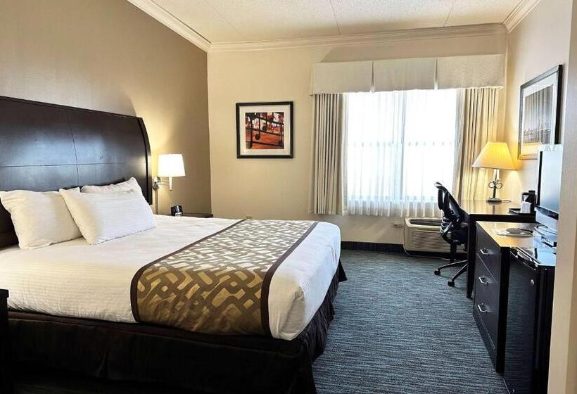 فندق Chicago South Loop