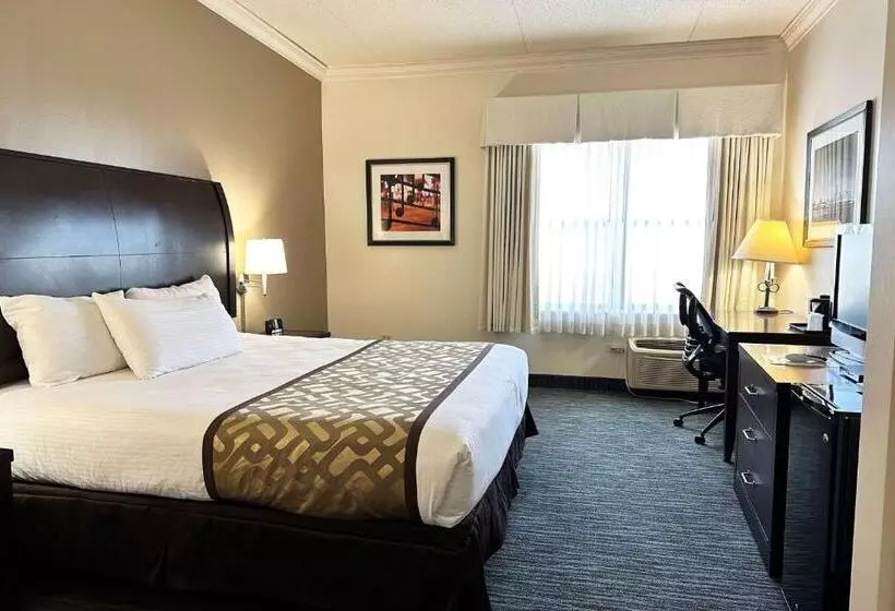 Отель Chicago South Loop