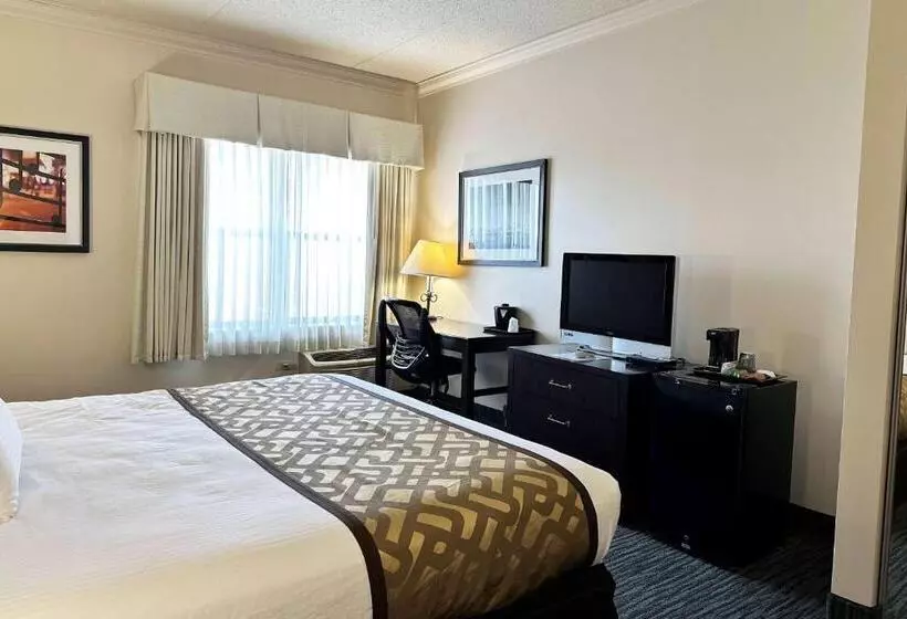 Отель Chicago South Loop