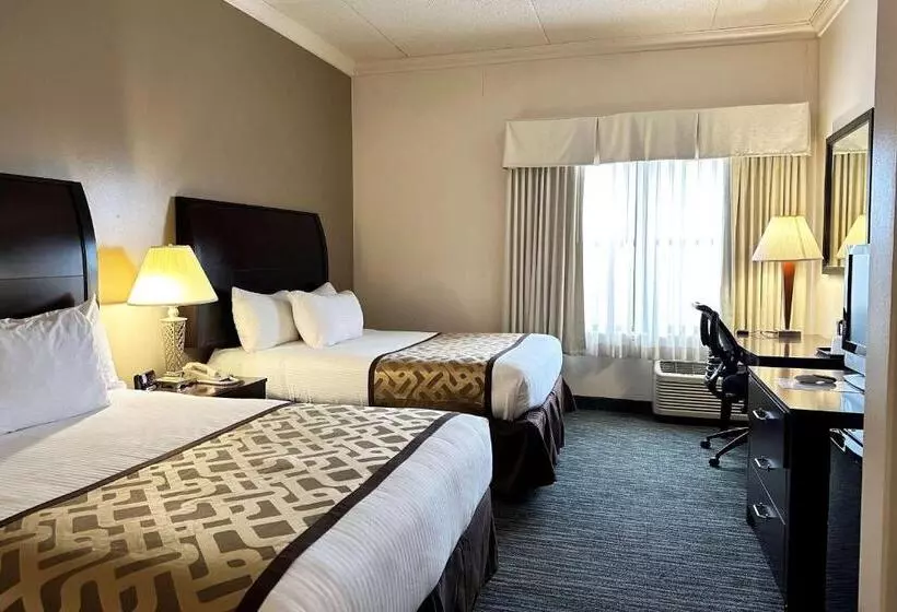 Отель Chicago South Loop