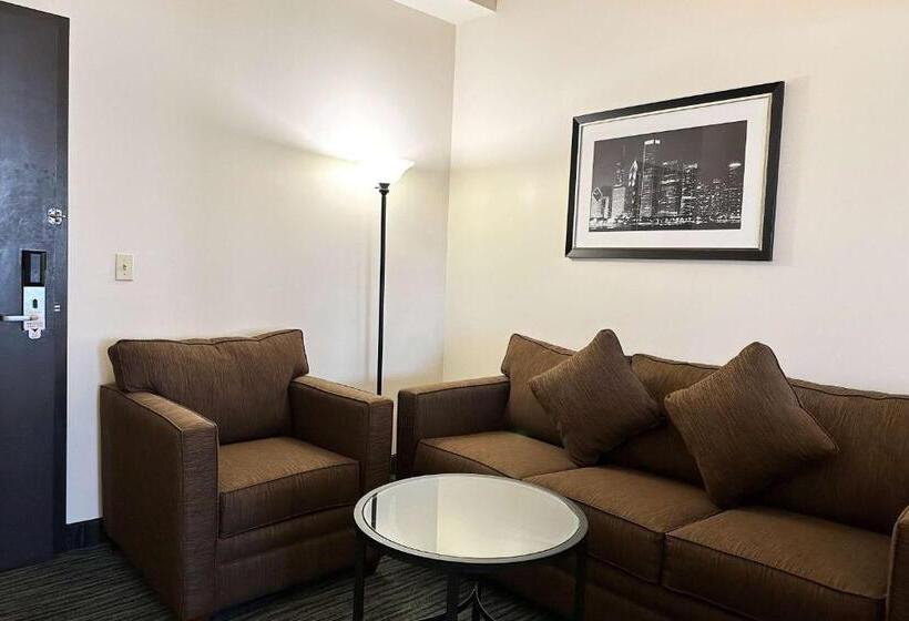 فندق Chicago South Loop