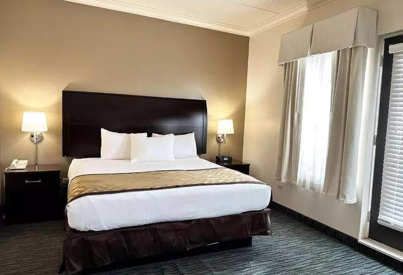 Отель Chicago South Loop