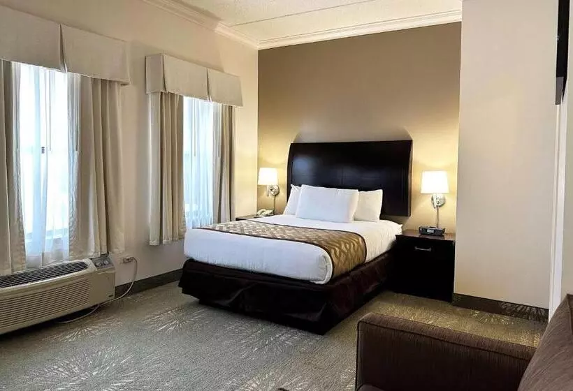 Отель Chicago South Loop