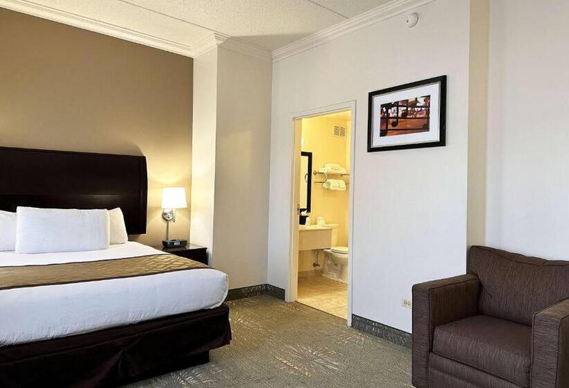 فندق Chicago South Loop