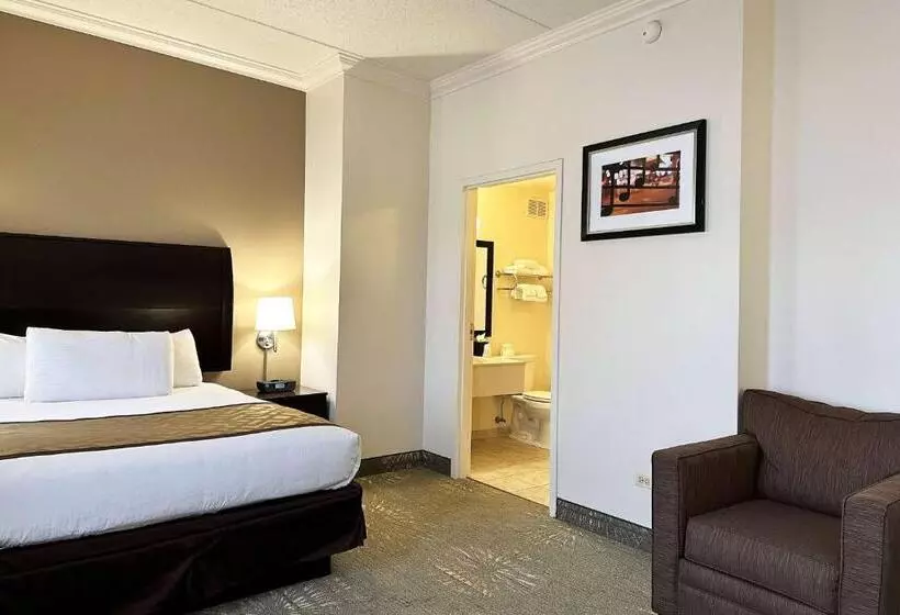 Отель Chicago South Loop