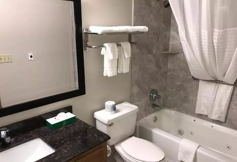 Hotel Days Inn By Wyndham Grove