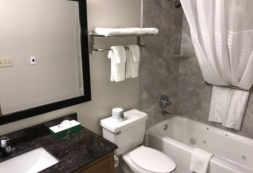 Hotel Days Inn By Wyndham Grove