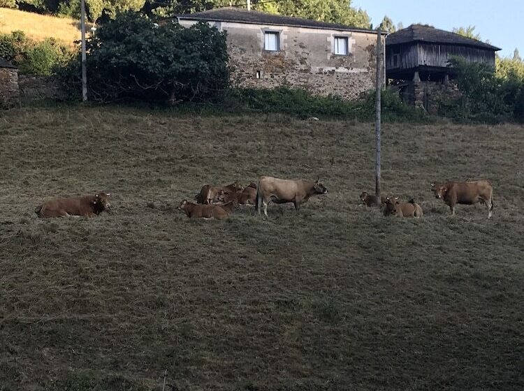 酒店 Mirador De Barcia