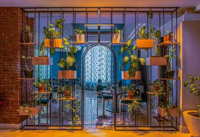 Hotel Rixos Sharm El Sheikh - Ultra All Inclusive - Adults Only 18 Plus