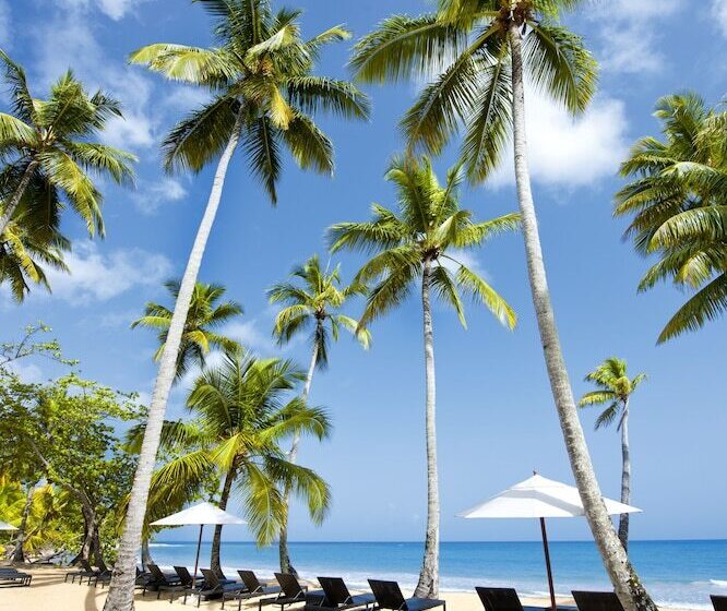 هتل Sublime Samana