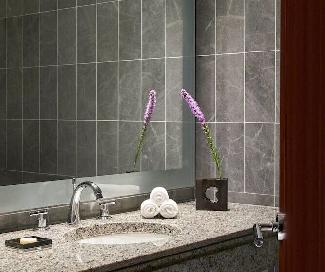 هتل The Ritzcarlton, Charlotte