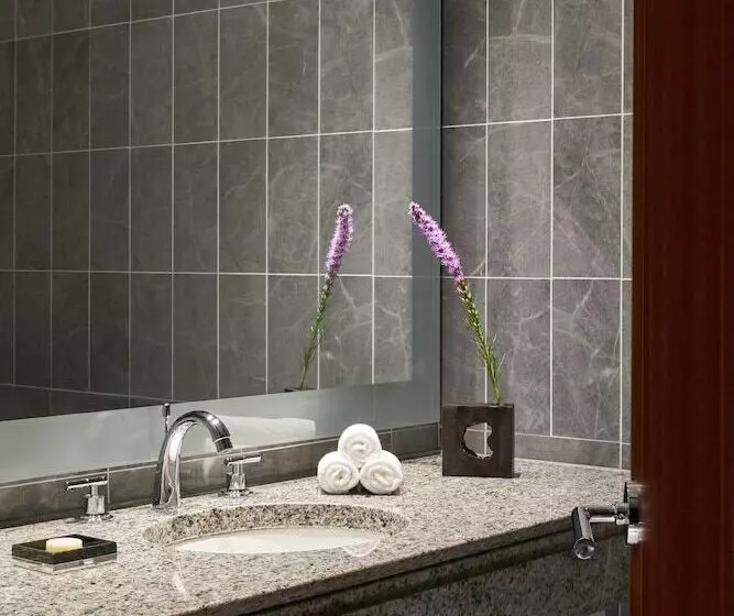 Otel The Ritzcarlton, Charlotte