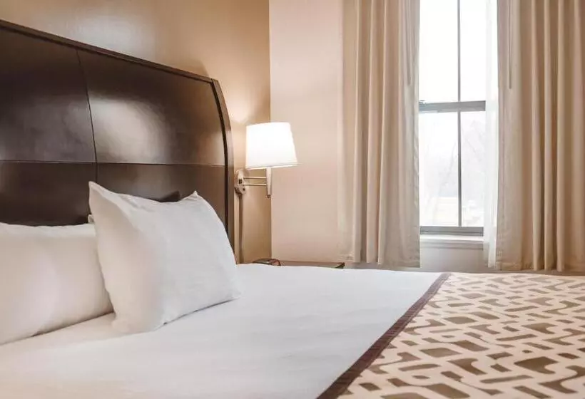 Отель Chicago South Loop