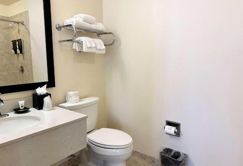 فندق Chicago South Loop