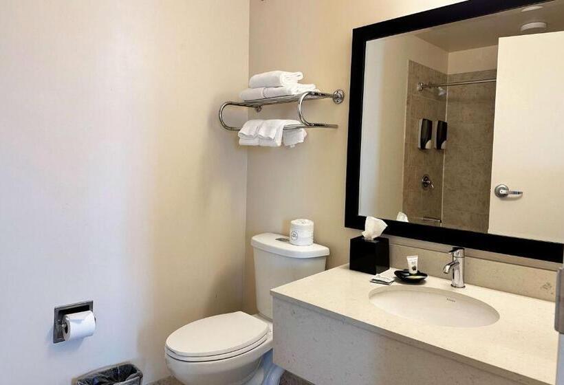 فندق Chicago South Loop