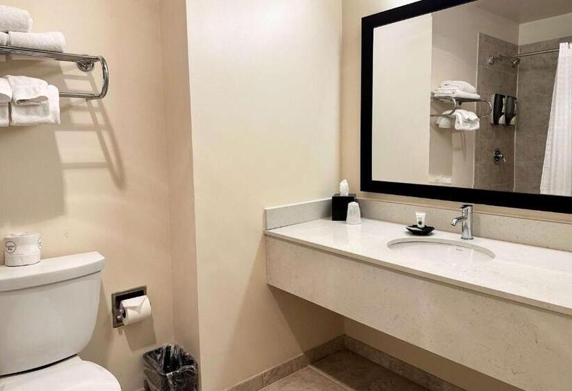 فندق Chicago South Loop