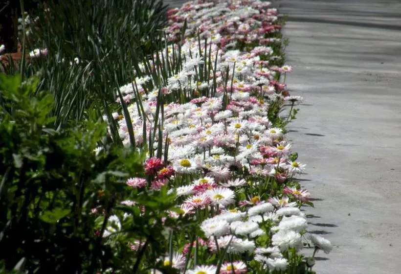 Alps Resort Dalhousie