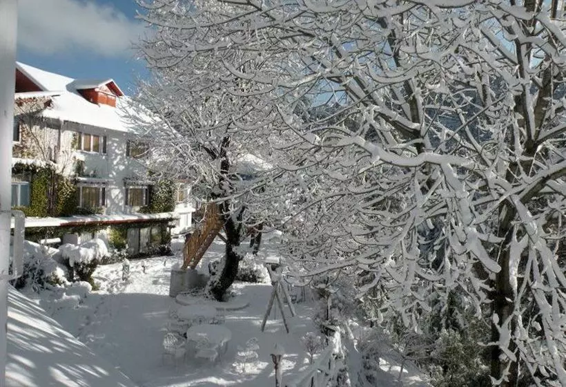 Alps Resort Dalhousie