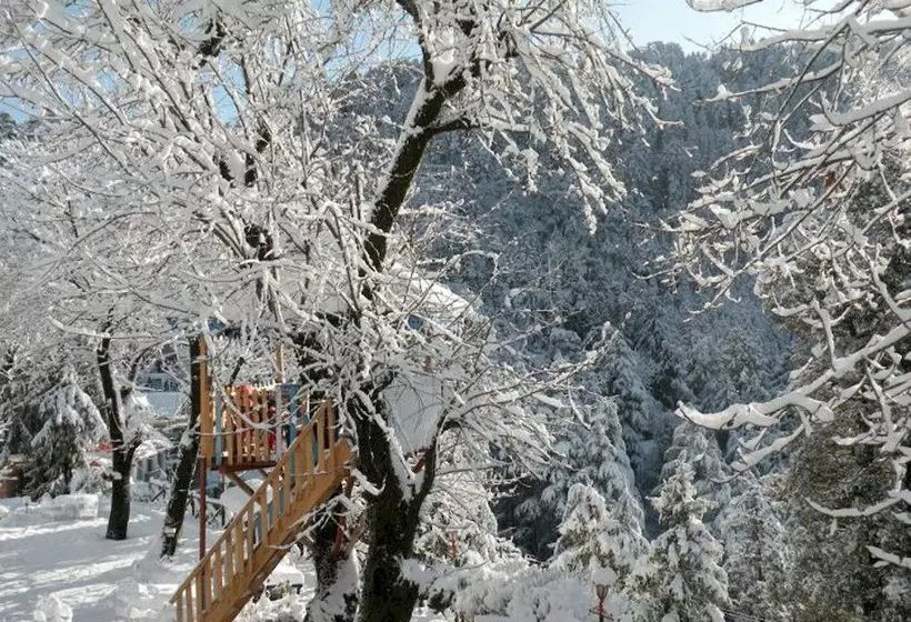 Alps Resort Dalhousie