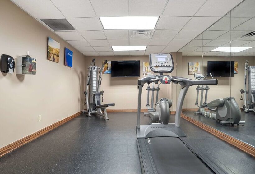 酒店 Comfort Inn & Suites Mobile Near Eastern Shore Centre