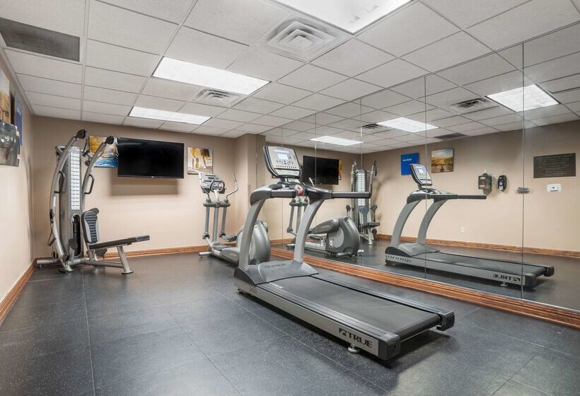 酒店 Comfort Inn & Suites Mobile Near Eastern Shore Centre