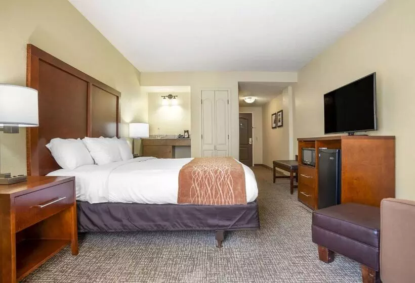 호텔 Comfort Inn & Suites Mobile Near Eastern Shore Centre