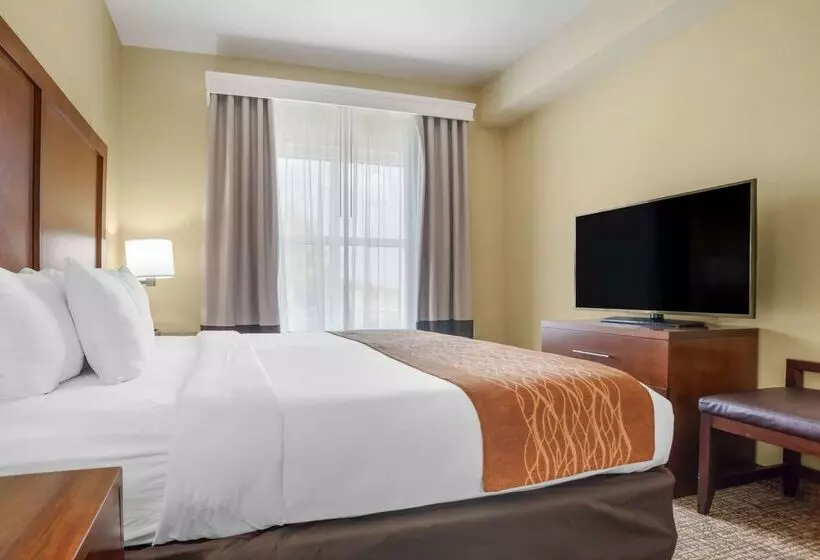 호텔 Comfort Inn & Suites Mobile Near Eastern Shore Centre