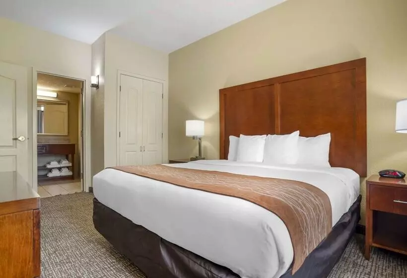 호텔 Comfort Inn & Suites Mobile Near Eastern Shore Centre