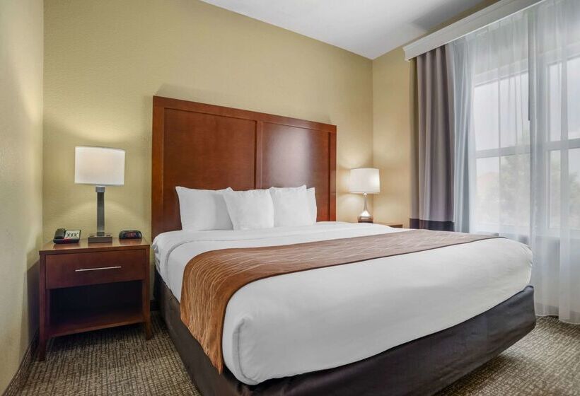 酒店 Comfort Inn & Suites Mobile Near Eastern Shore Centre