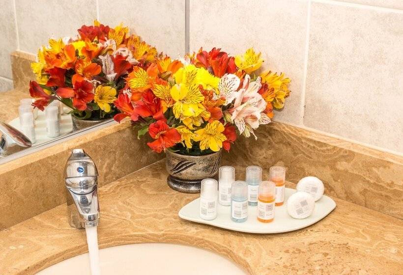 ホテル Hacienda Plaza De Armas