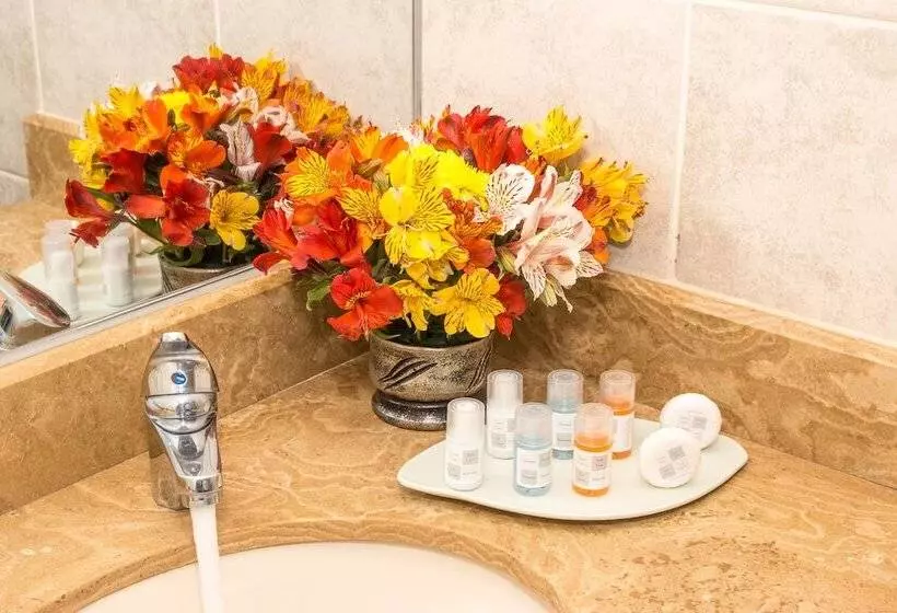 Отель Hacienda Plaza De Armas