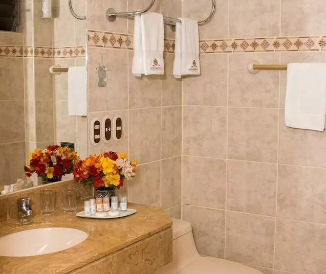 Отель Hacienda Plaza De Armas