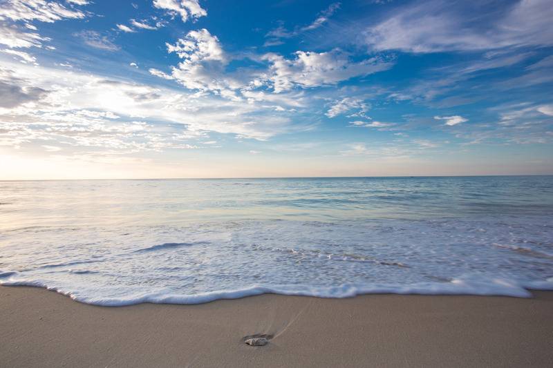 ホテル Mai Khaolak Beach Resort & Spa   Tuiblue Mai Khaolak