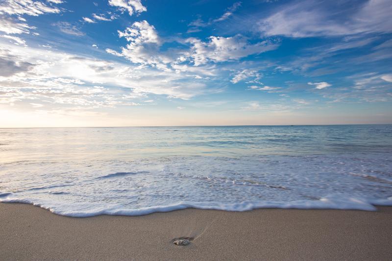 ホテル Mai Khaolak Beach Resort & Spa   Tuiblue Mai Khaolak