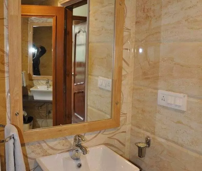 Bravia Hotel Manali Inn