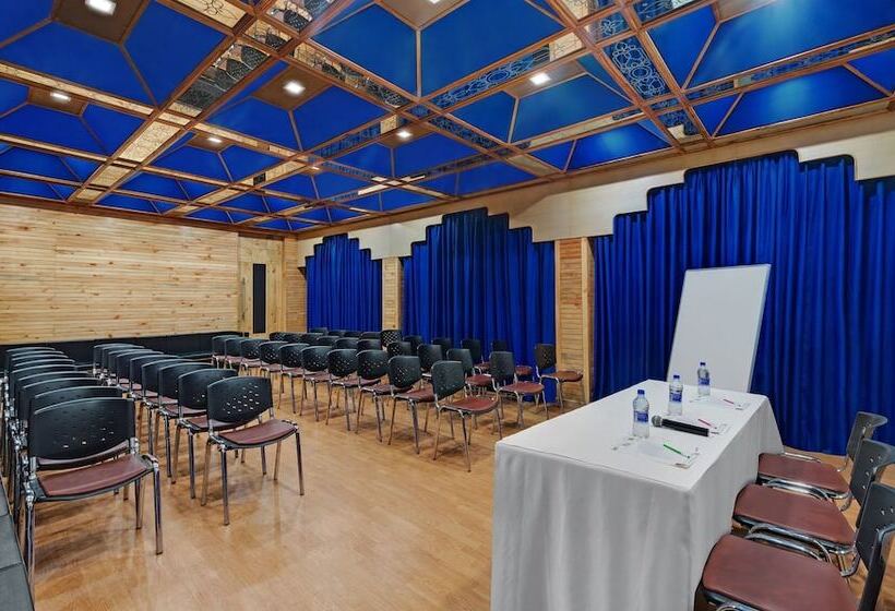 Bravia Hotel Manali Inn