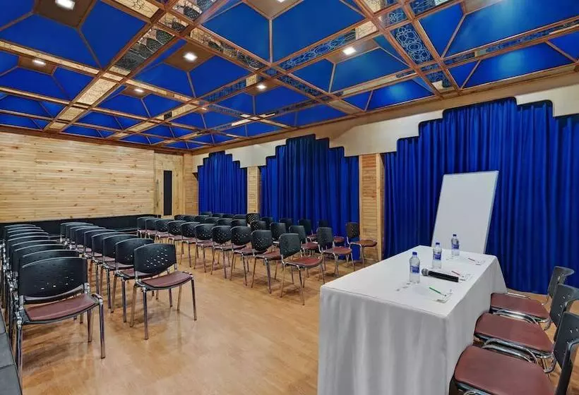 Bravia Hotel Manali Inn