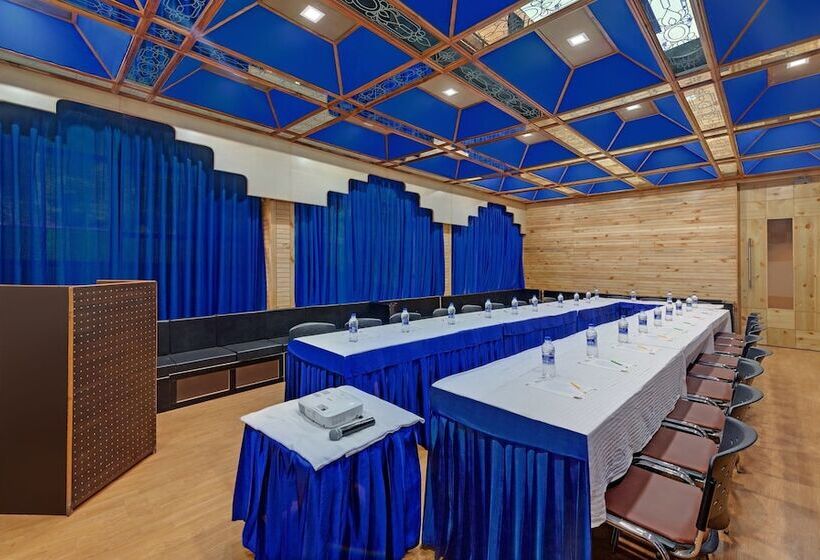 Bravia Hotel Manali Inn