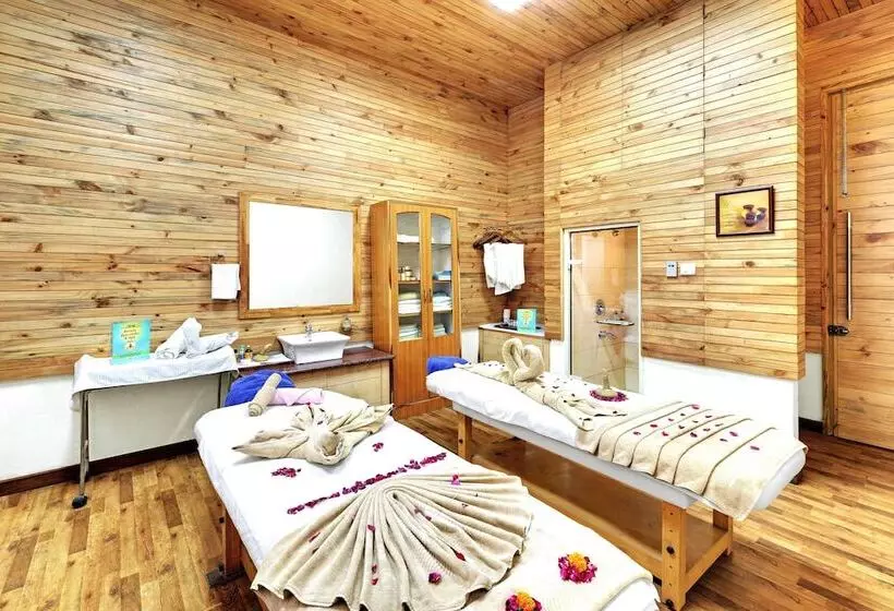 Bravia Hotel Manali Inn