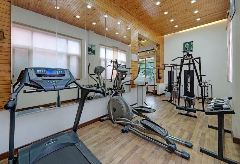 Bravia Hotel Manali Inn