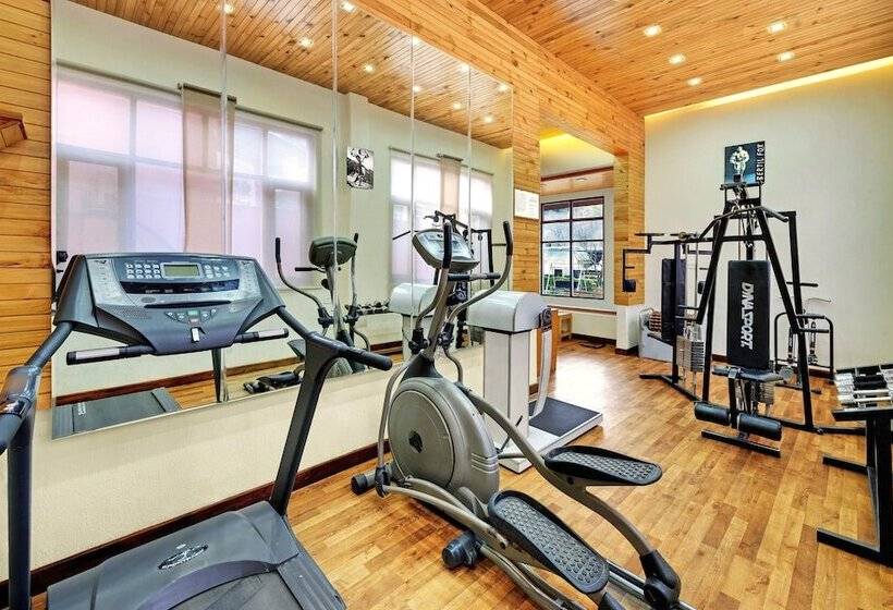 Bravia Hotel Manali Inn