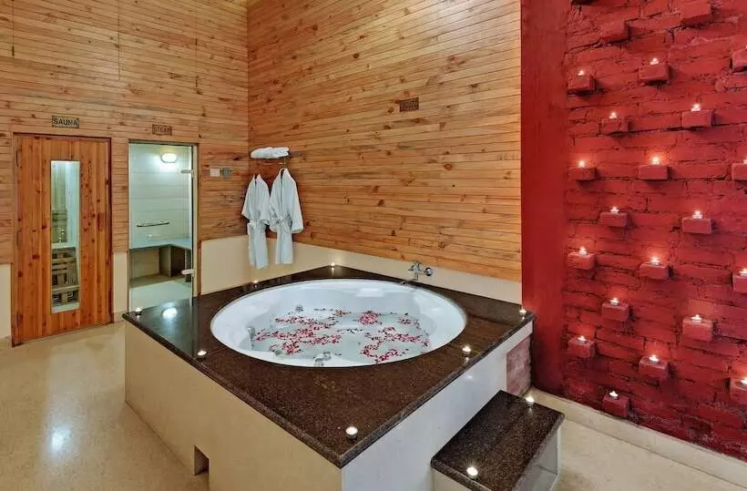 Bravia Hotel Manali Inn