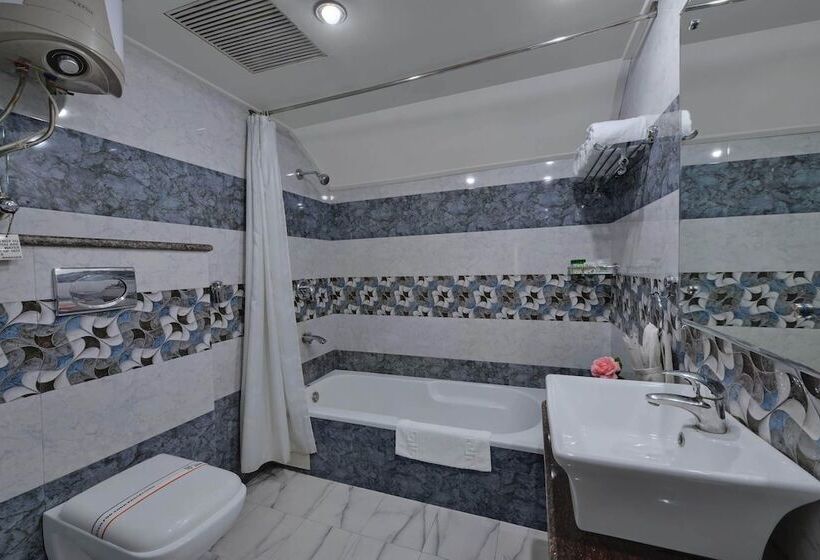 Bravia Hotel Manali Inn