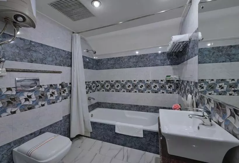 Bravia Hotel Manali Inn