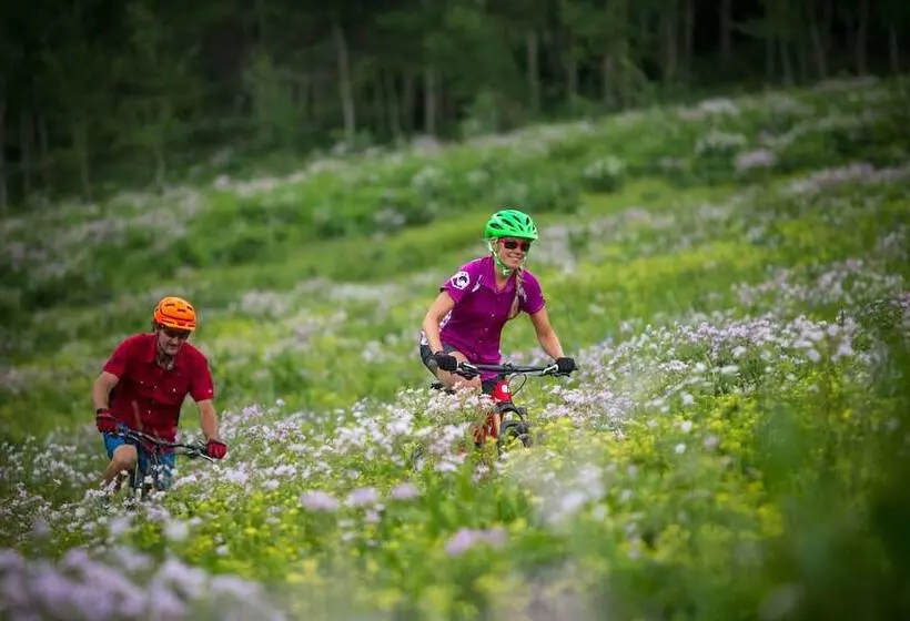 Teewinot Lodge By Grand Targhee Resort