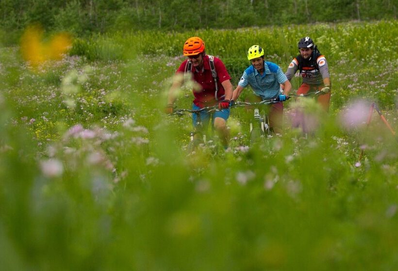 Teewinot Lodge By Grand Targhee Resort