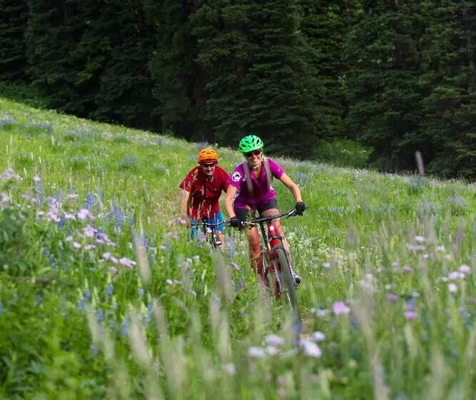 Teewinot Lodge By Grand Targhee Resort