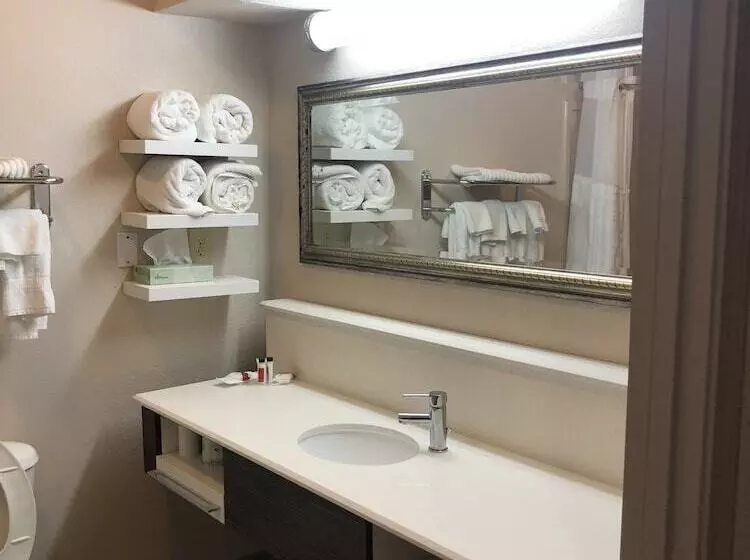 בית מלון כפרי Baymont By Wyndham Laurel