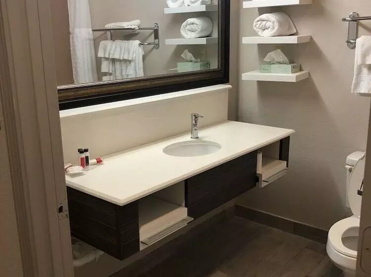 בית מלון כפרי Baymont By Wyndham Laurel