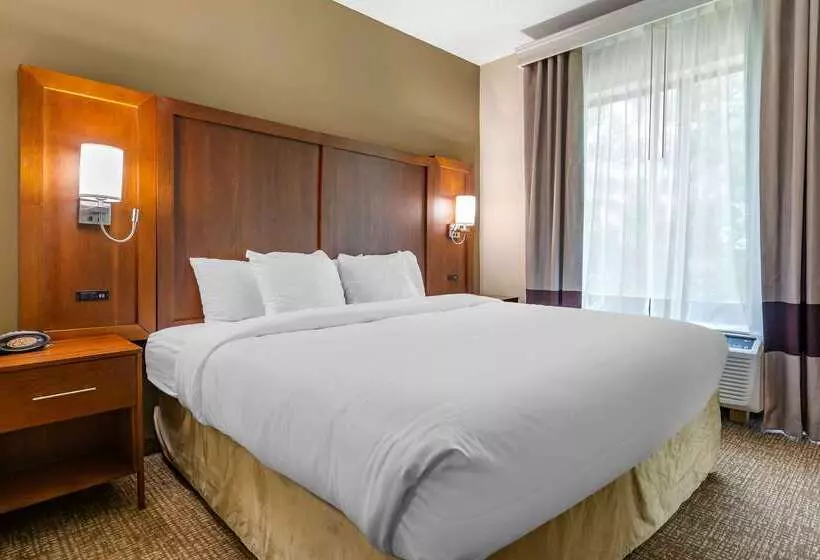 ホテル Comfort Suites Clayton  Garner